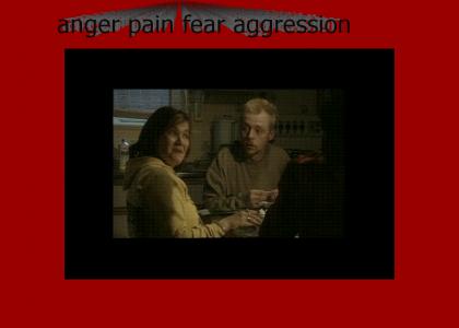 anger ... pain ... fear ... aggression