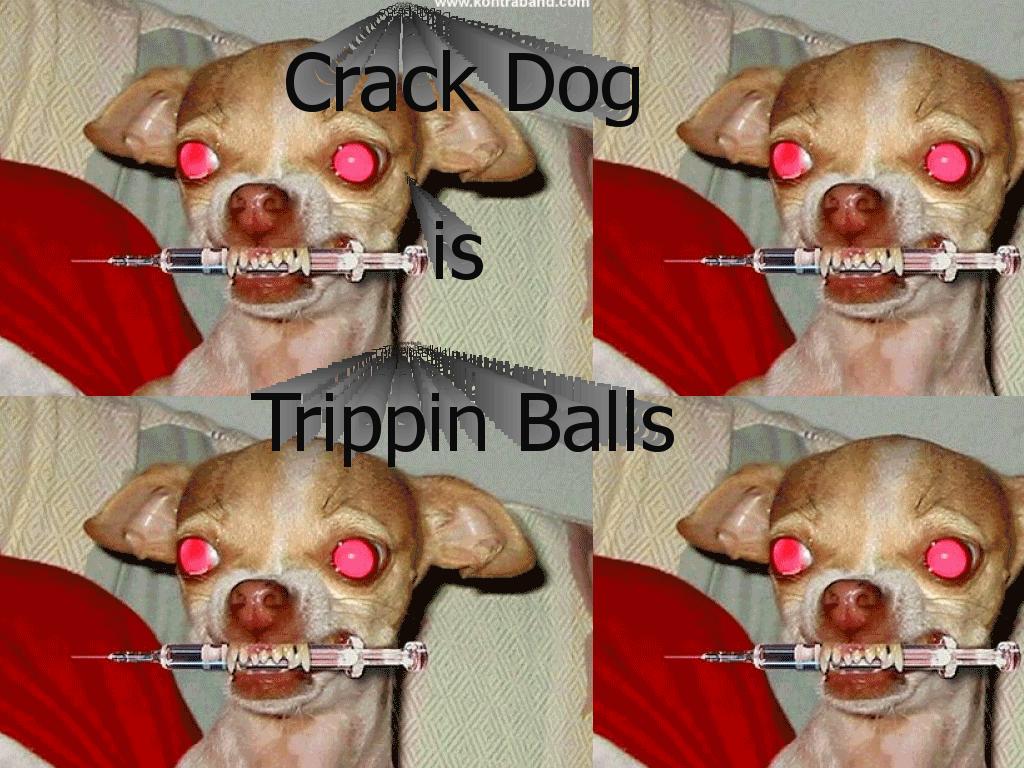 crackdog