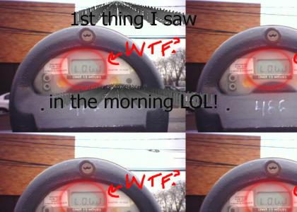 Parking Meter LAWL!