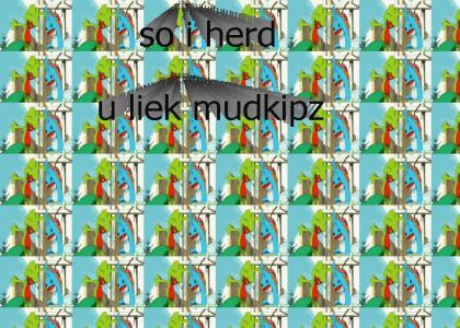 so i herd u liek mudkipz