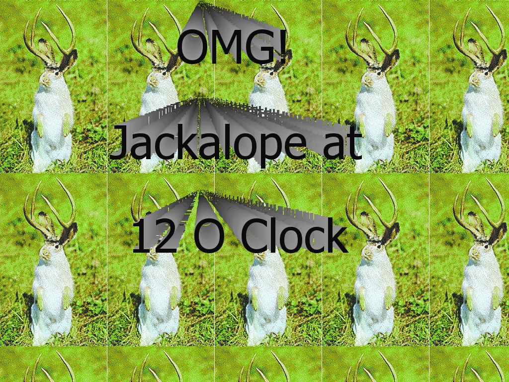 JACKALOPEat12