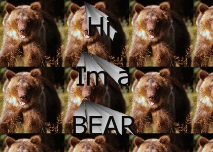 Hi, I'm a Bear!