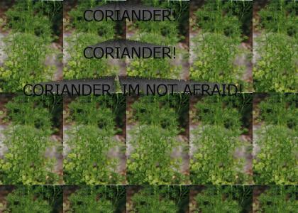 Not afraid of Coriander.