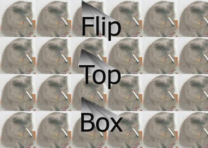 Kitty likes flip top box