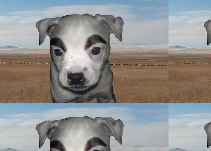 ACTMND: Real Life K.K. Slider Goes to the Steppe and Sings About it