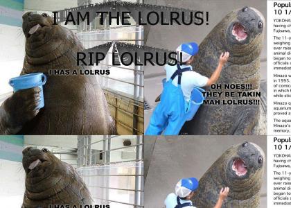 RIP LOLRUS :(