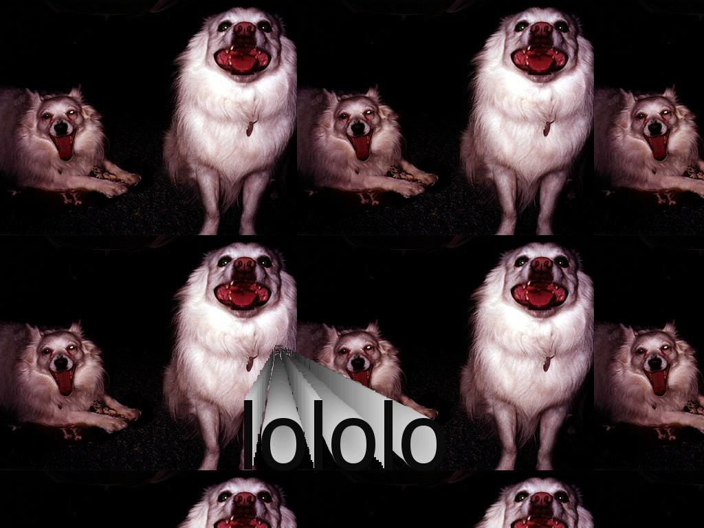 lololo