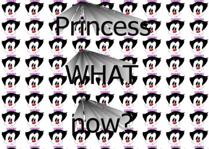 Princess WHAT now?