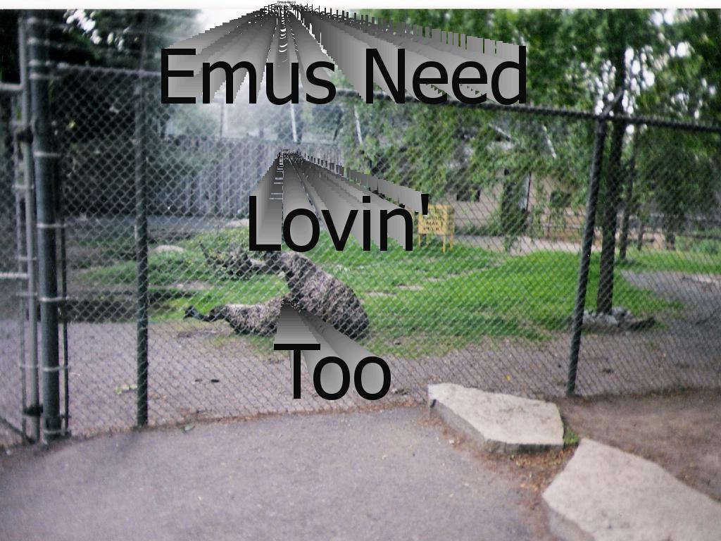 emus