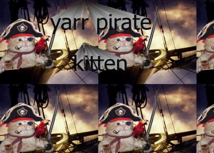 A Pirate Kitten