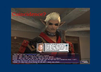 Safety not guaranteed... in FFXI?