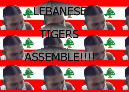 LEBANESE TIGERS ASSEMBLE