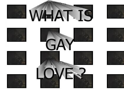 What is gay love ?