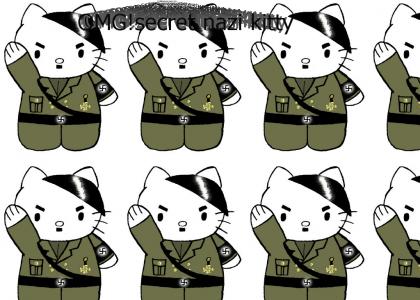 OMG! Secret Nazi hello kitty