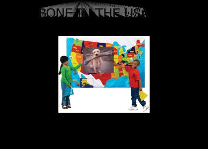 Bone in the USA