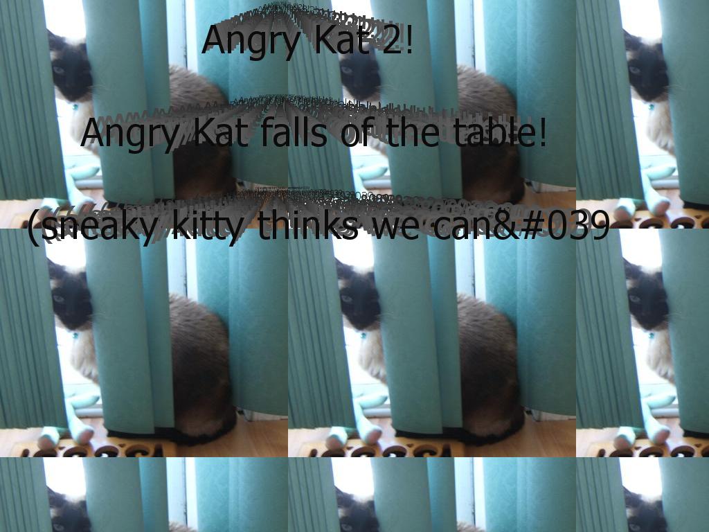 AngryKat2