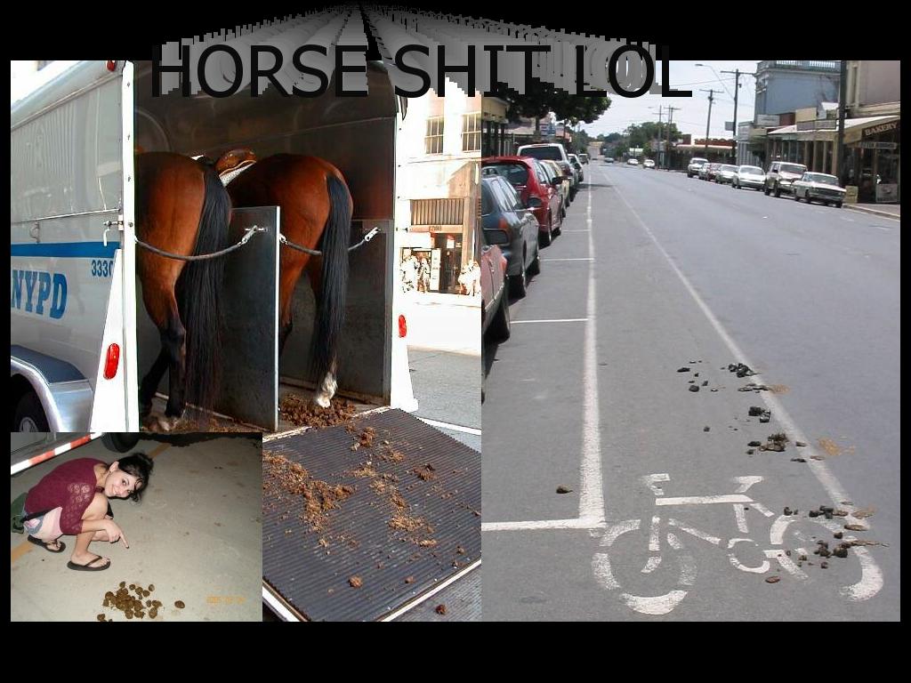 horseshitlol