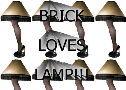Brick Loves Lamp