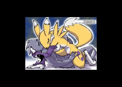 Furry porn - ... Renamon?!