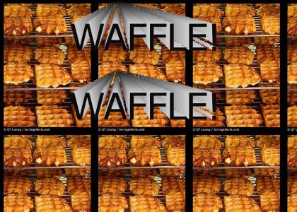 WAFFLE!  WAFFLE!