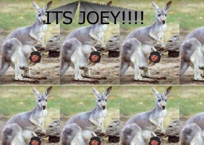 ITS JOEY!!!!!