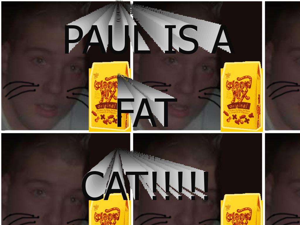 paulisafatcat