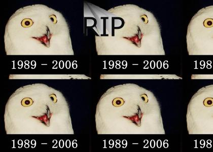 ORLY Owl Dead