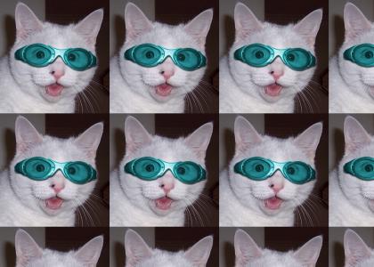 zomg cat wearing goggles!?!1
