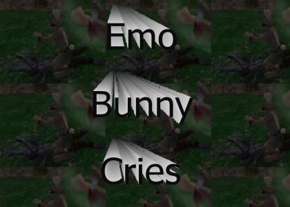 Emo Bunny