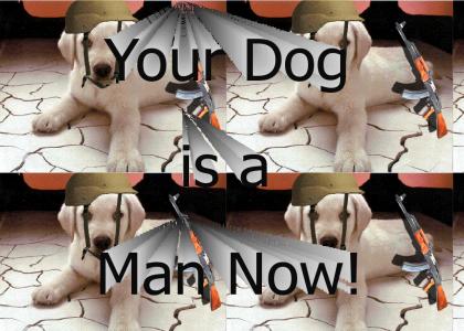 Your Dog is a Man Now