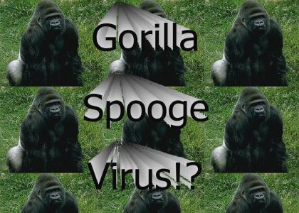 Gorilla Spooge Virus!?