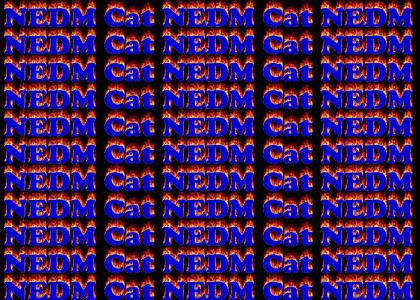 NEDM CAT ON FIRE