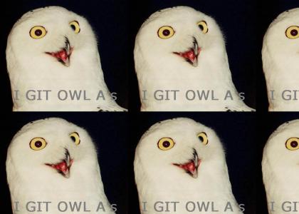 How Smart Is O RLY Owl?