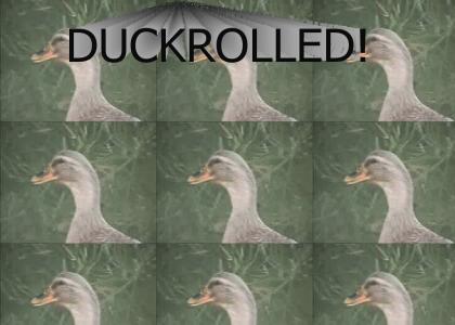 Duckrolling Returns!
