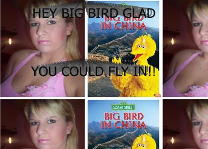 HEY BIG BIRD GLAD YOU COULD FLY IN!!