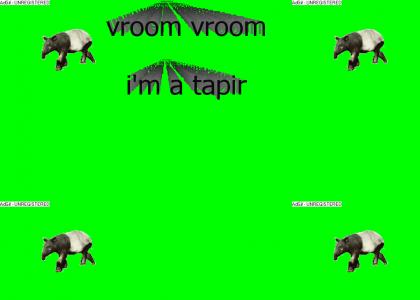 vroom vroom i'm a tapir 2.0