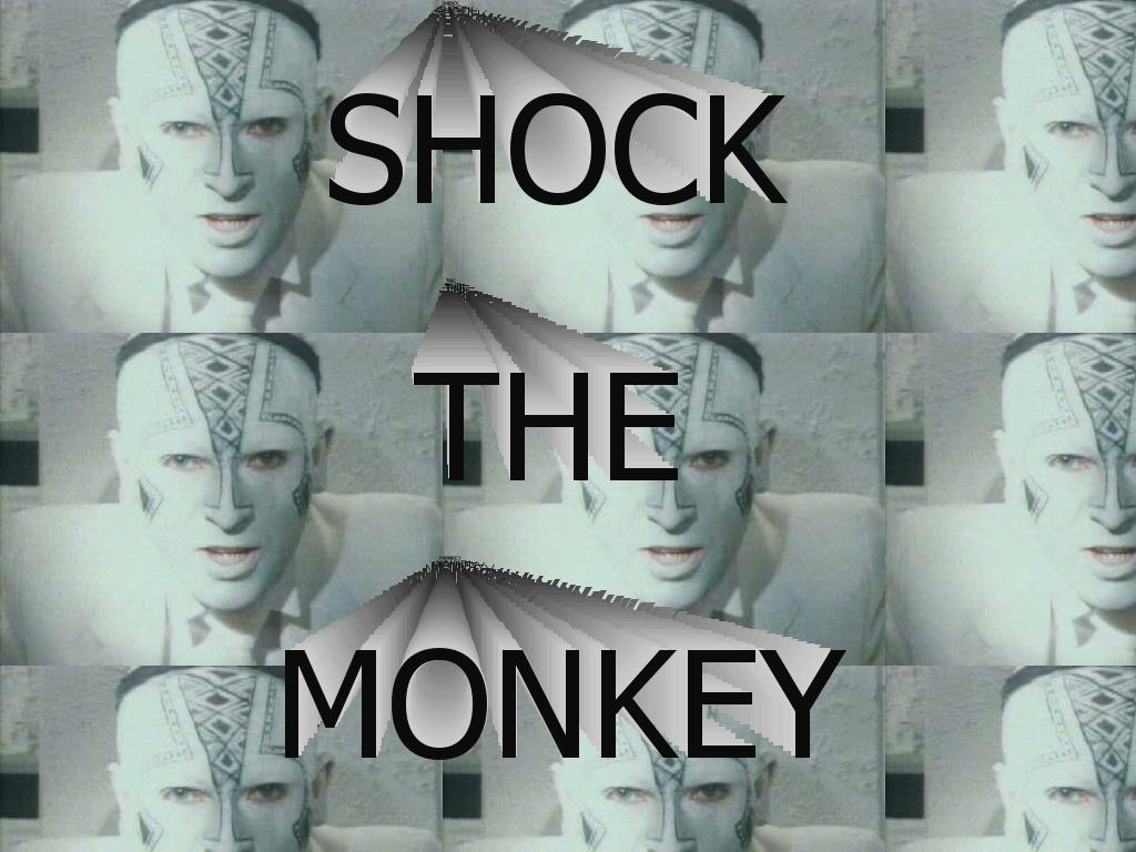 shockthamonkey