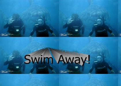 Swim Away......slowly
