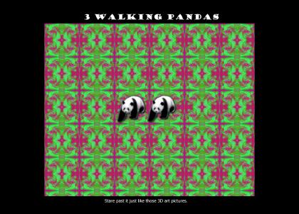 3 Walking Pandas (biiiiig DL)