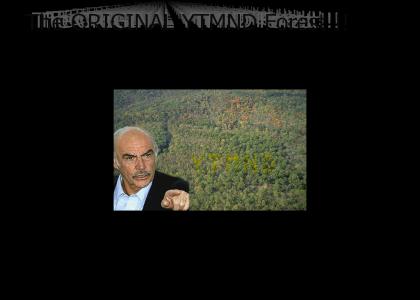 OMG, Secret YTMND Forest !!
