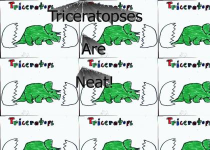 Triceratopses