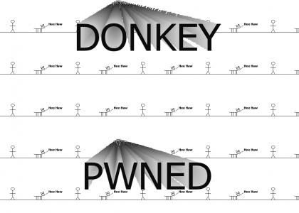 Donkey is pwned