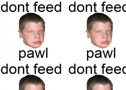 Don't Feed Pawl
