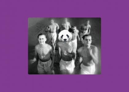 Panda and His Gang Flee!