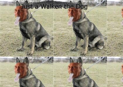 Walken The Dog