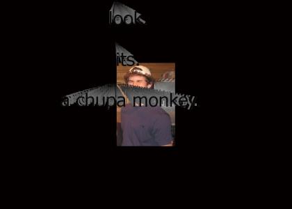 smyres the chupa monkey