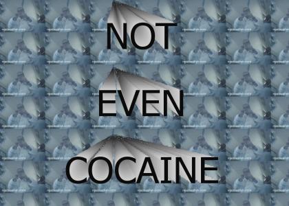 NOT EVEN COCAINE
