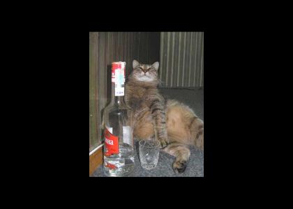 Drunkycat!