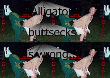 Why you shouldn't feed the alligators
