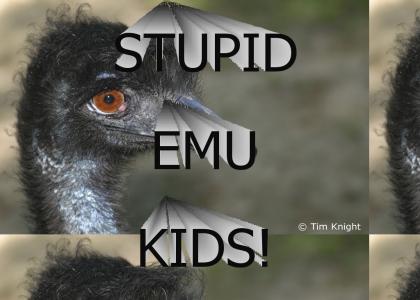 Emu Kid